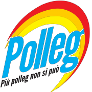 Polleg Dash Semplificato