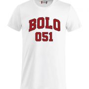 Bolo 051
